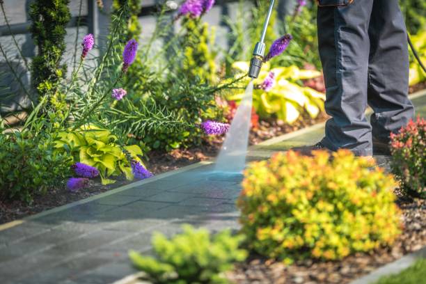 Professional Pressure Washing Services in Loop, PA